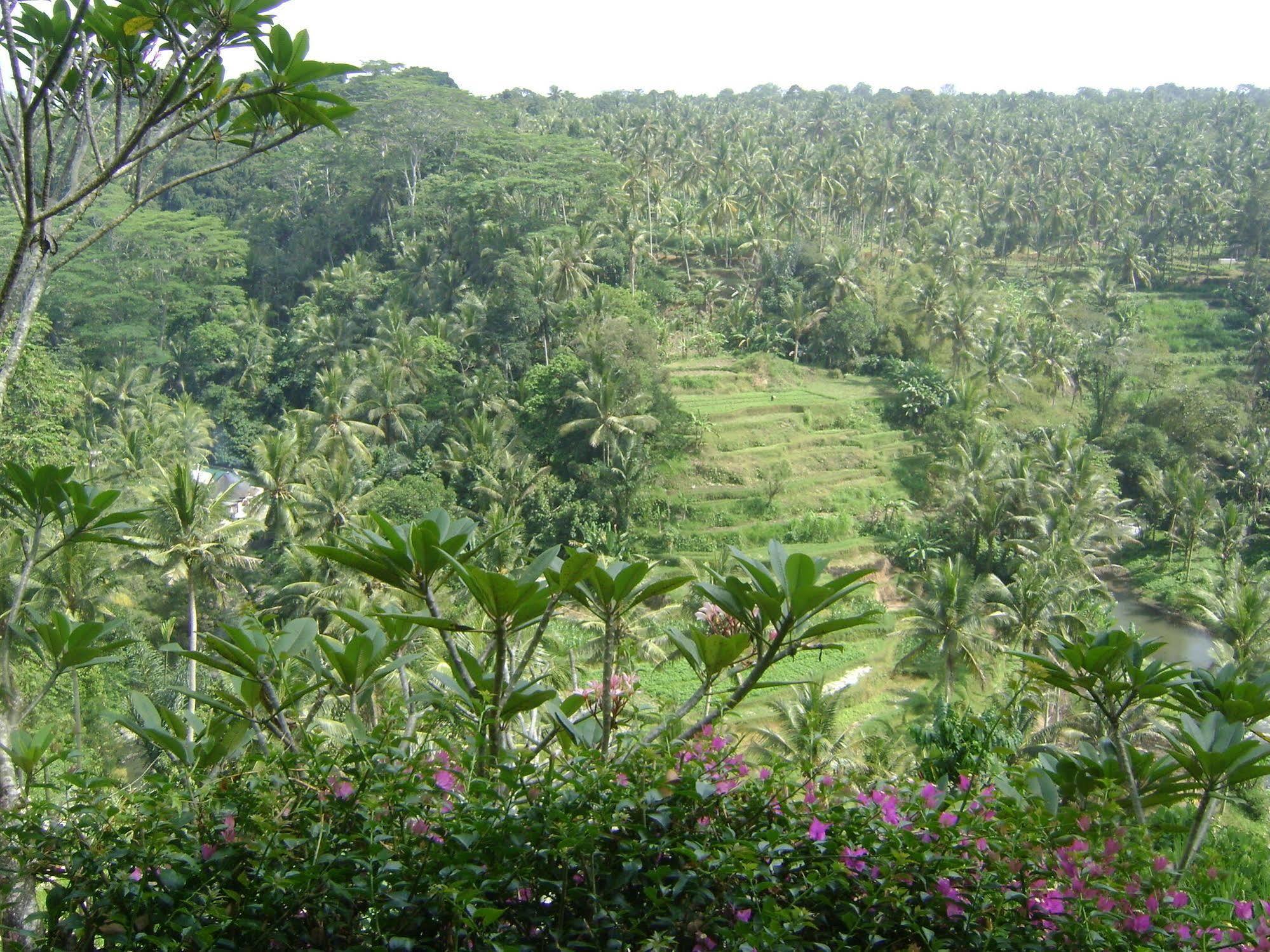 Taman Bebek Bali 호텔 우붓 외부 사진