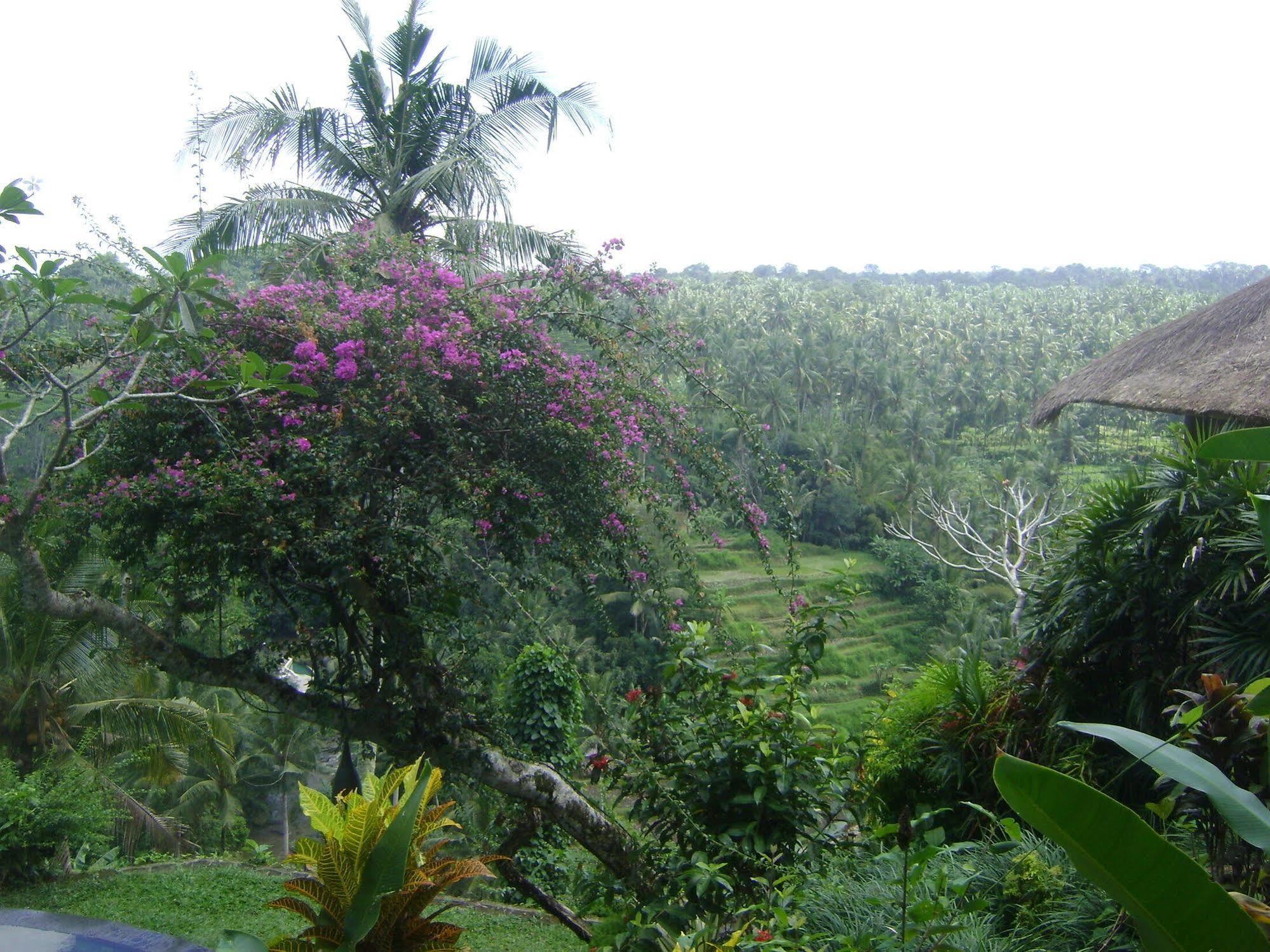 Taman Bebek Bali 호텔 우붓 외부 사진